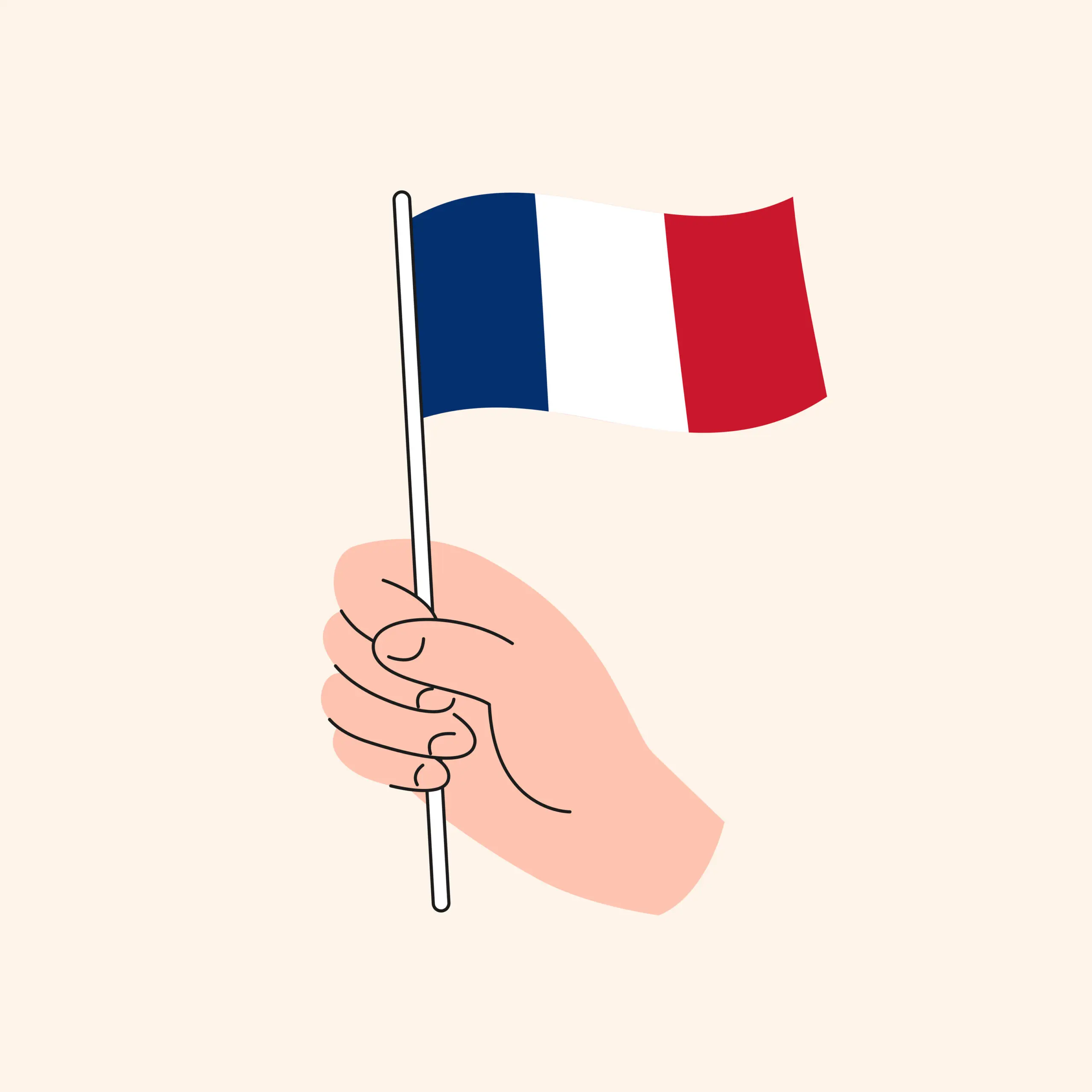 French flag